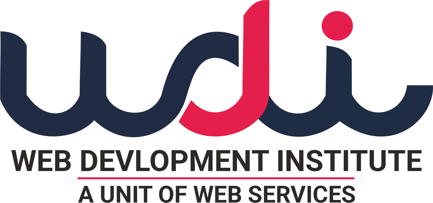 web development institute