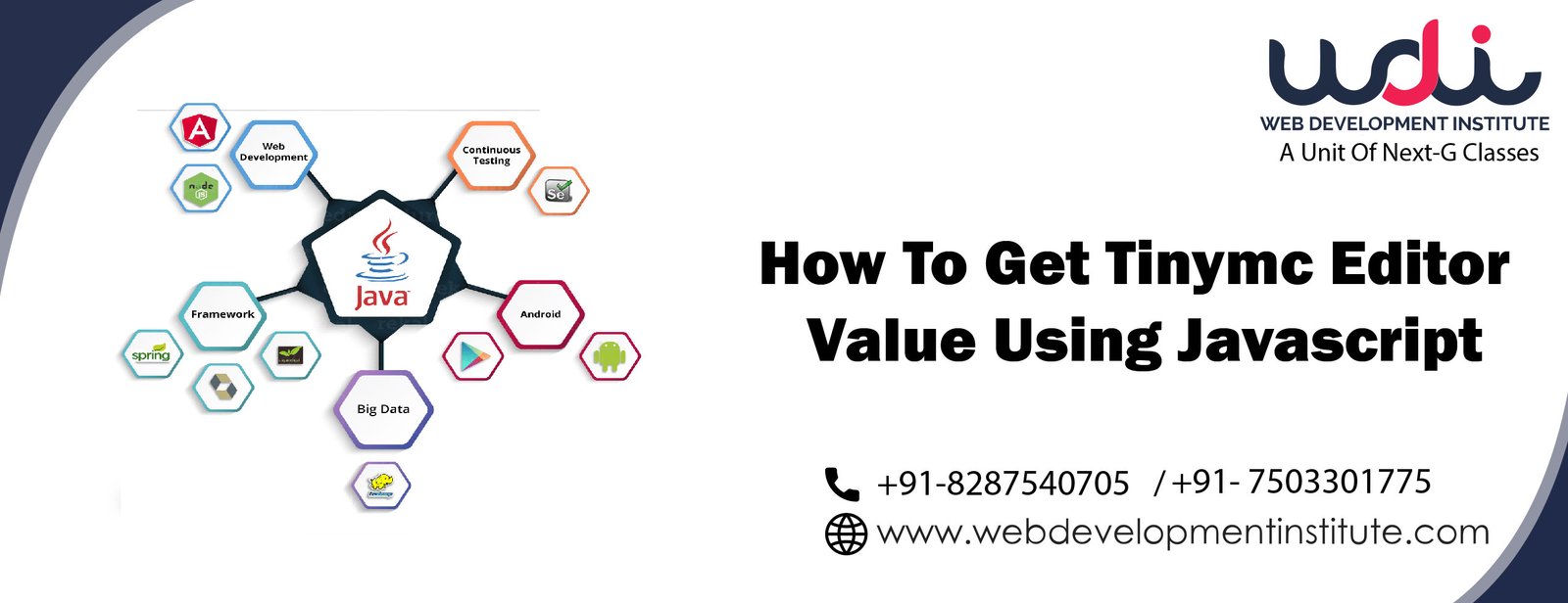 How to Get tinymce Editor Value Using Javascript | Get Value from ...